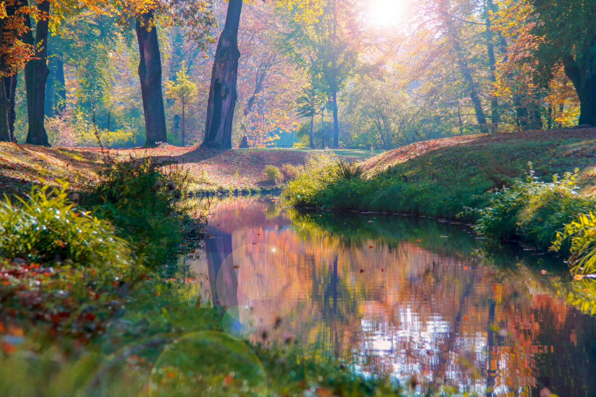 Park Mużakowski w jesiennej scenerii