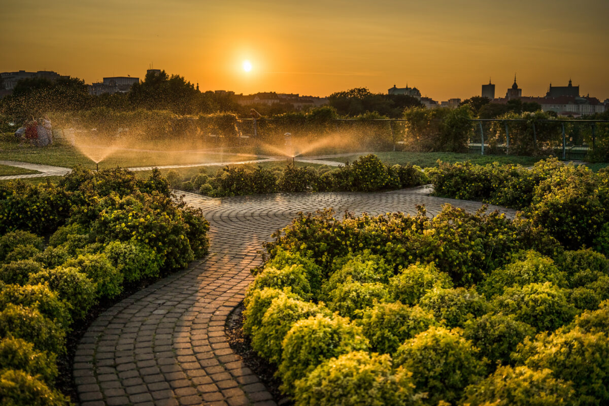 Warszawa, Ogrody BUW na dachu