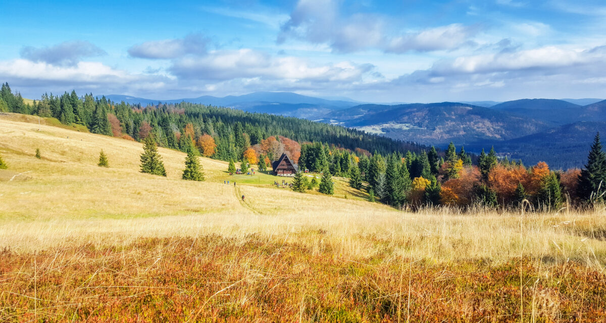 Beskid Żywiecki, Hala Rycerzowa