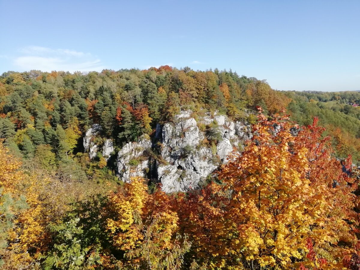 Jura Krakowsko-Częstochowska w jesiennej scenerii