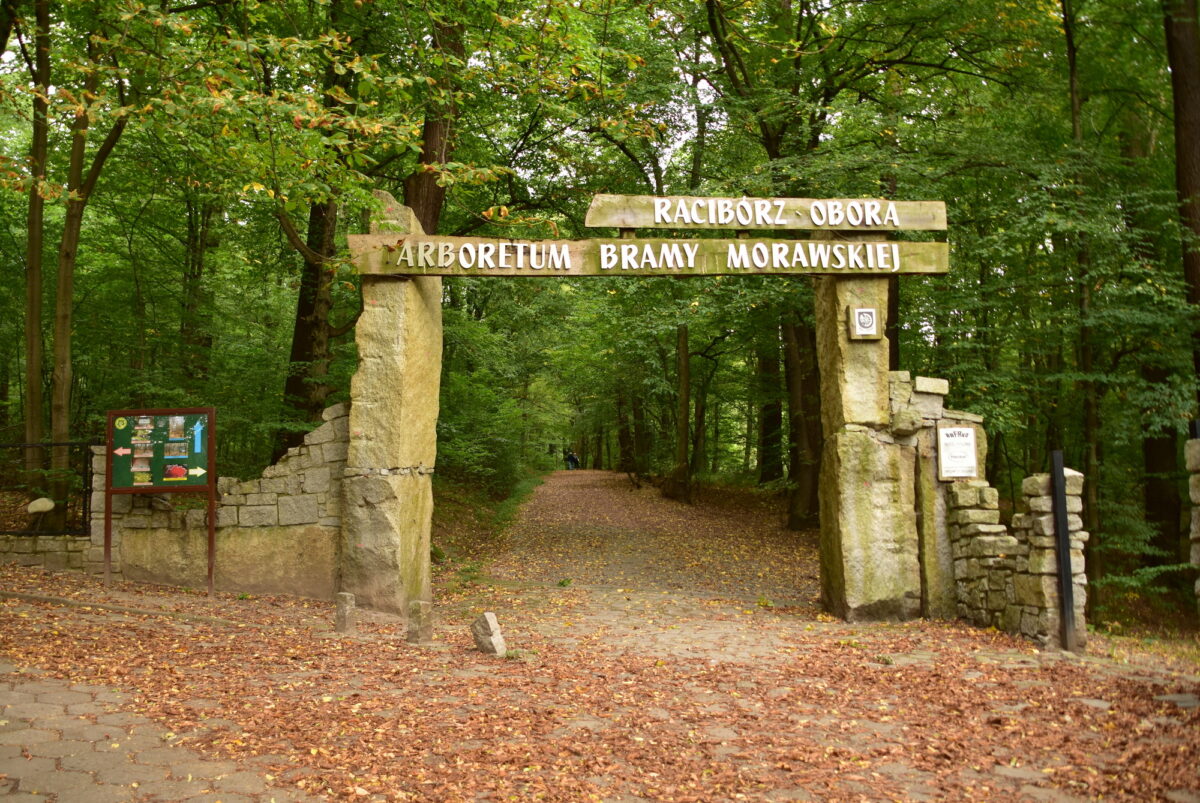 Arboretum Bramy Morawskiej w Raciborzu