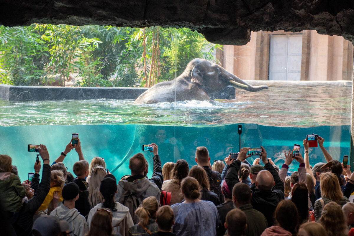 Orientarium ZOO w Łodzi